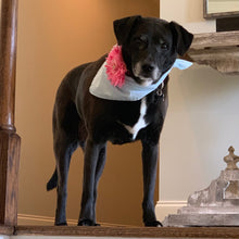 Load image into Gallery viewer, The Calla Lovey